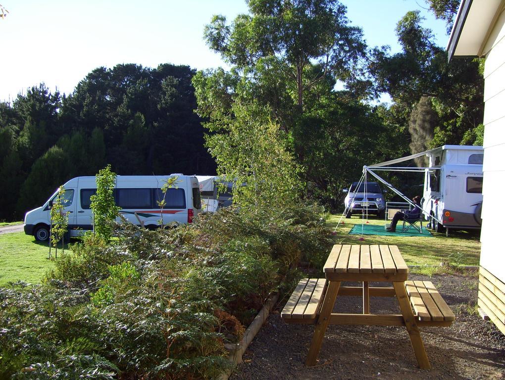 Millicent Hillview Caravan Park Dış mekan fotoğraf