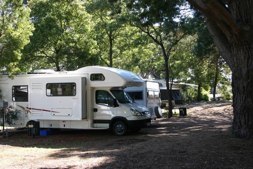 Millicent Hillview Caravan Park Dış mekan fotoğraf