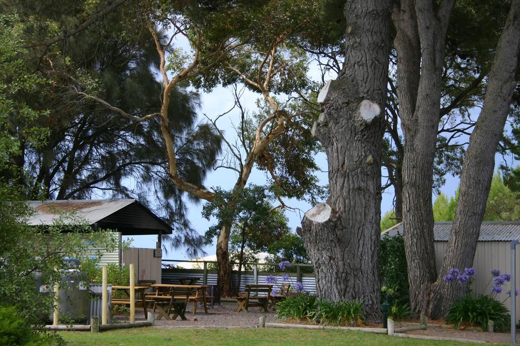 Millicent Hillview Caravan Park Dış mekan fotoğraf