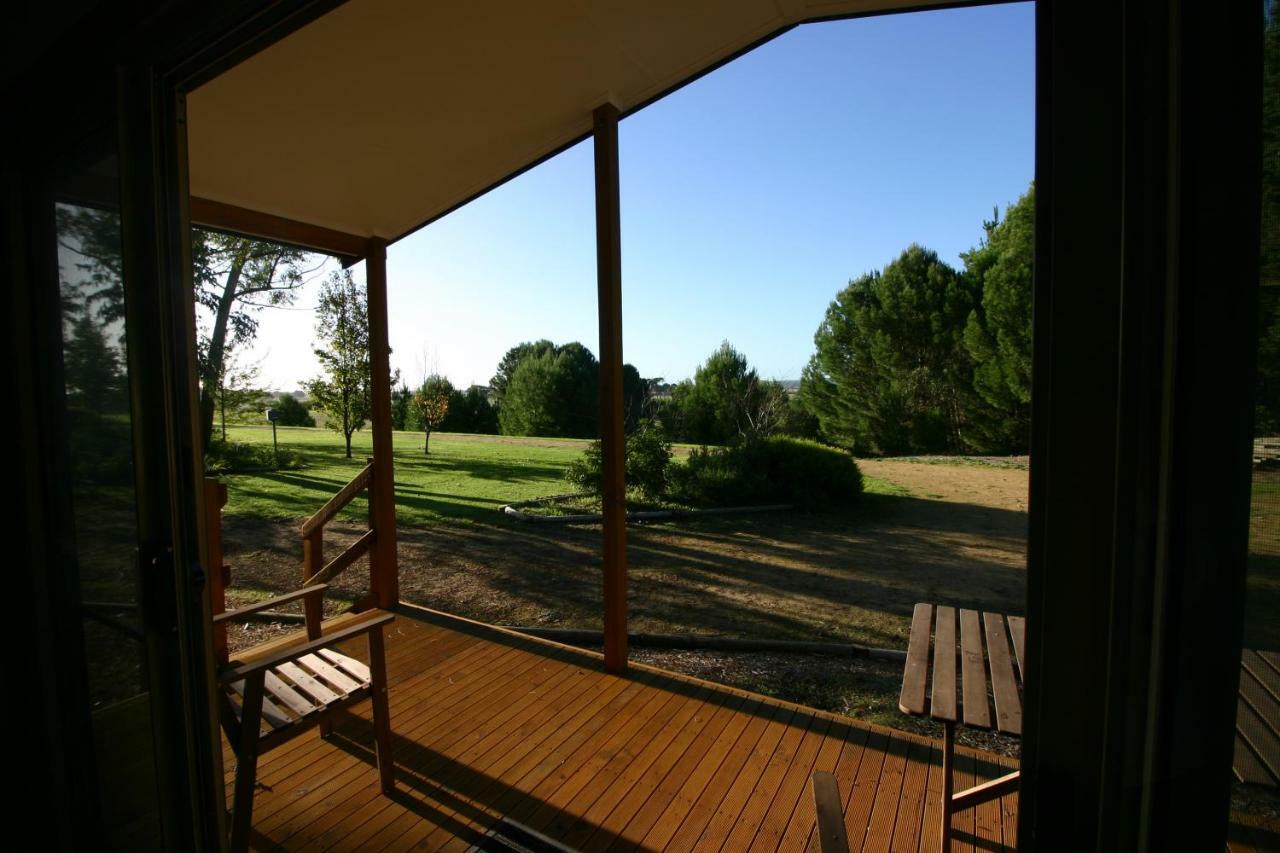 Millicent Hillview Caravan Park Dış mekan fotoğraf